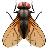 000__でApple iOS 18.4に