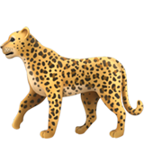 Leopardí pro Apple iOS 18.4