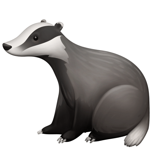 第獾号为第Facebook 15.0号