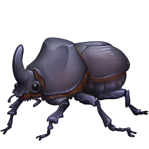 000__でFacebook 15.0に