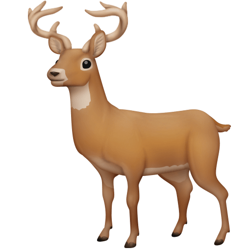 000__でFacebook 15.0に