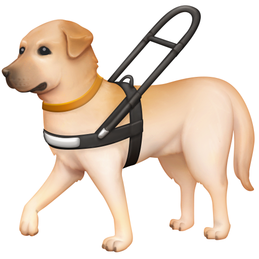 000__でFacebook 15.0に