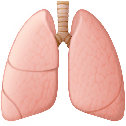 Plămâni pentru Facebook 15.0