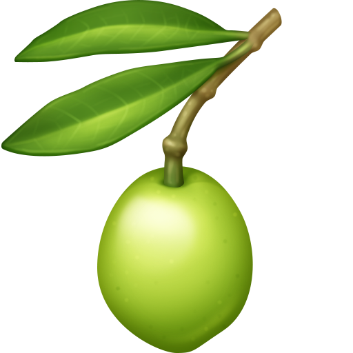 第橄榄号为第Facebook 15.0号