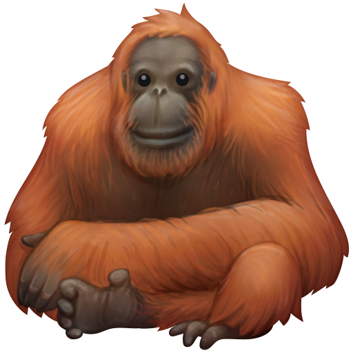 000__でFacebook 15.0に