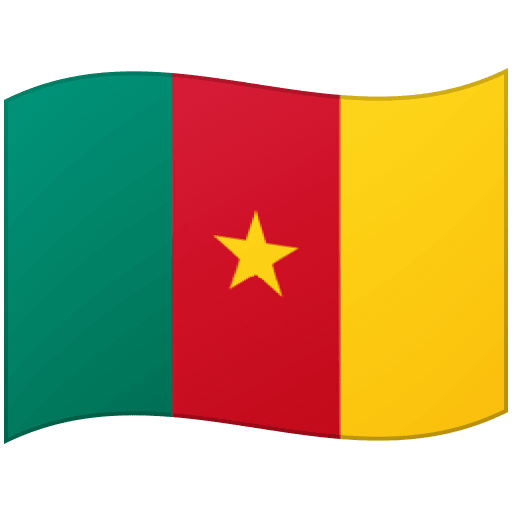 Bandera: Camerun per Google 16.0