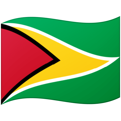 Bandera: Guyana per Google 16.0