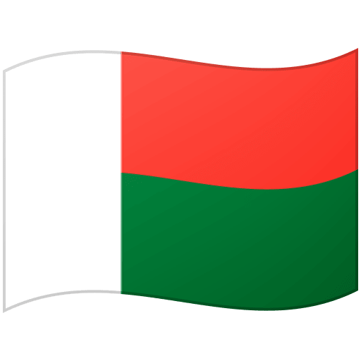 Bandera: Madagascar per Google 16.0
