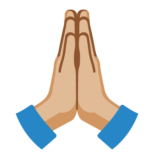 Folded Hands: Medium-Light Skin Tone for Google 16.0