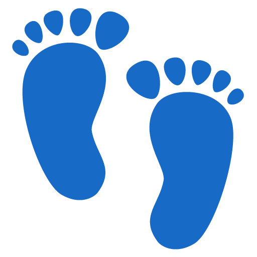 Footprints pro Google 16.0