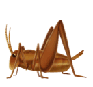 000__でHuawei HarmonyOS 4.0に