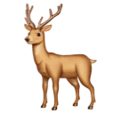 000__でHuawei HarmonyOS 4.0に