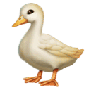 Rață pentru Huawei HarmonyOS 4.0