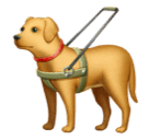 Vodicí pes pro Huawei HarmonyOS 4.0