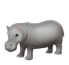 Hippopotamus for Huawei HarmonyOS 4.0