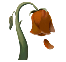 פרח נובל עבור Huawei HarmonyOS 4.0