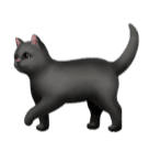 000__でHuawei HarmonyOS 4.0に