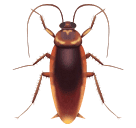 000__でHuawei HarmonyOS 4.0に