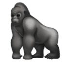 000__でHuawei HarmonyOS 4.0に