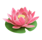 hoa sen cho Huawei HarmonyOS 4.0