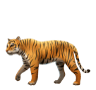 Tiger for Huawei HarmonyOS 4.0