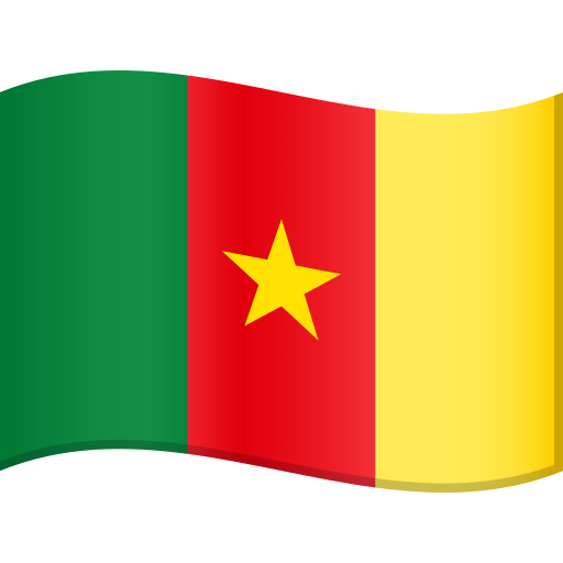Bandera: Camerun per JoyPixels 9.0