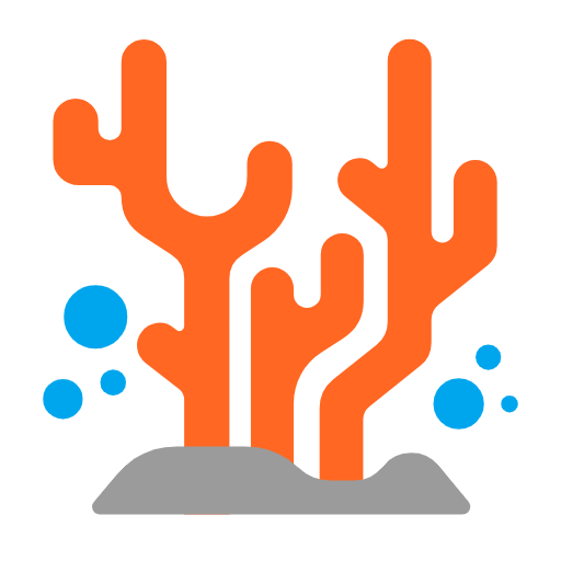 Microsoft Windows 11 23H2 June 2024 Update의 경우 산호초