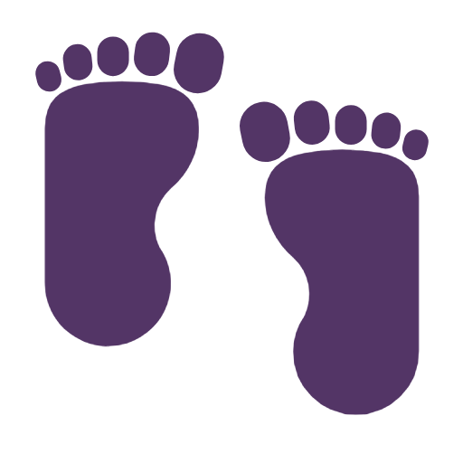 Footprints pro Microsoft Windows 11 23H2 June 2024 Update