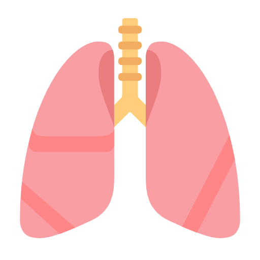 Plămâni pentru Microsoft Windows 11 23H2 June 2024 Update