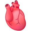 Anatomical Heart for Samsung One UI 6.1.1
