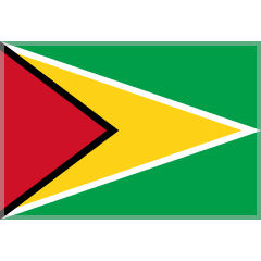 Bandera: Guyana per Skype Emoticons 1.2