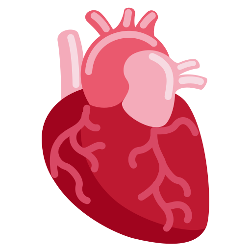 Anatomical Heart for Twitter (X) Twemoji 15.0.3