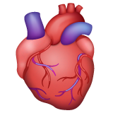Anatomical Heart for WhatsApp 2.25.1.75