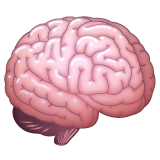 第脑号为第WhatsApp 2.25.1.75号