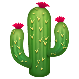 Cactus per WhatsApp 2.25.1.75