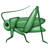 000__でWhatsApp 2.25.1.75に