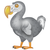 Dodo varten WhatsApp 2.25.1.75