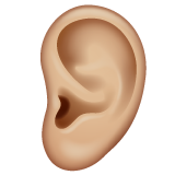 第耳朵: 中等-浅肤色号为第WhatsApp 2.25.1.75号