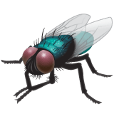 000__でWhatsApp 2.25.1.75に