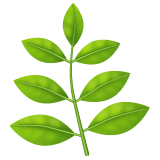 000__でWhatsApp 2.25.1.75に