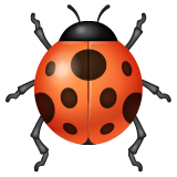 Lady Beetle pro WhatsApp 2.25.1.75