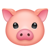 Tête De Cochon pour WhatsApp 2.25.1.75
